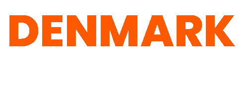 Denmark For Newcomers logo